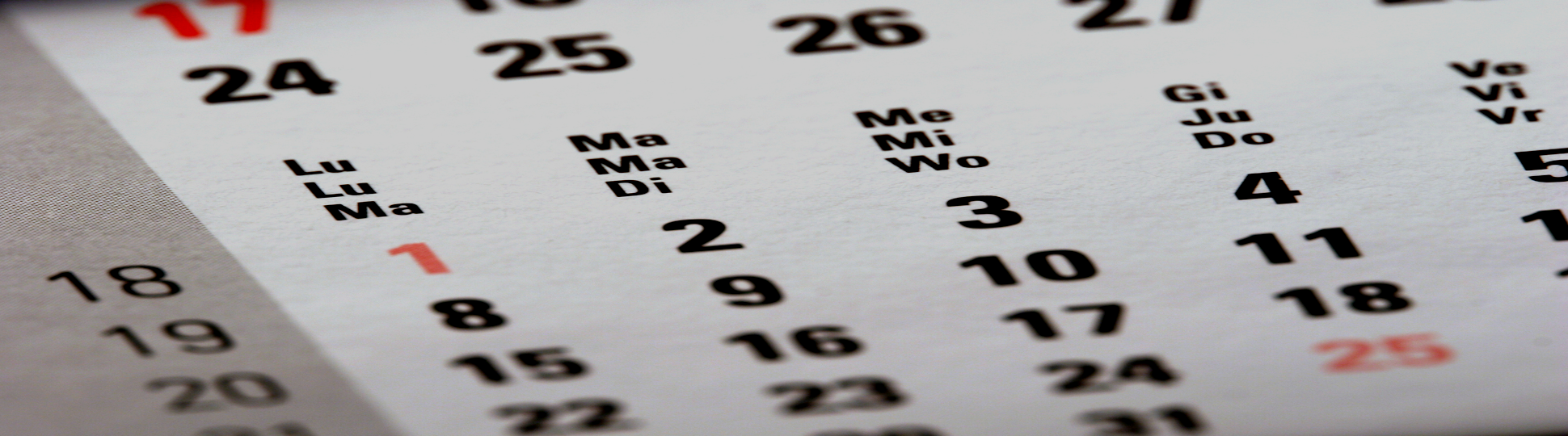 CALENDARIO DE DATOS