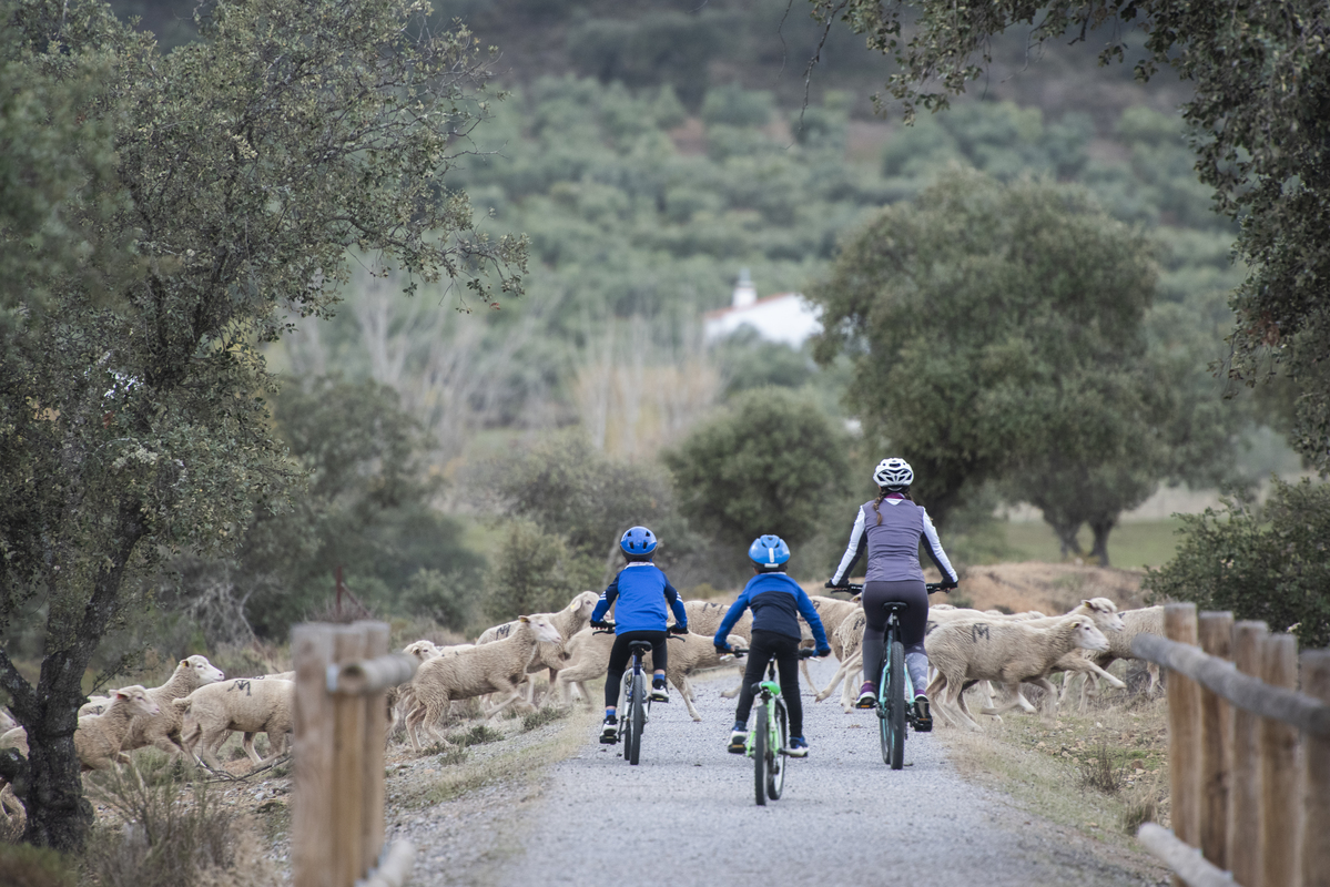 Madre e hijos pedaleando en la Vía Verde Mina La Jayona en Badajoz © Turismo de Extremadura